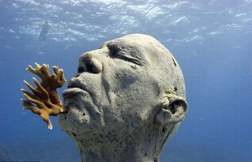 Fishing for a Unique Prize Idea? Discover Mexico's Underwater Paradise